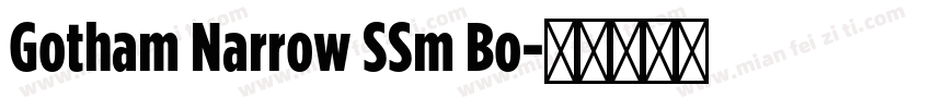 Gotham Narrow SSm Bo字体转换